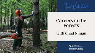 Tree Week 2024 ForestryWorks – Careers in the Forests [upl. by Odrahcir918]