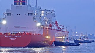 EVENING MARINE TRAFFIC AT ROTTERDAM PORT  4K SHIPSPOTTING ROTTERDAM NETHERLANDS 2023 [upl. by Bourn330]