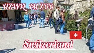 🇨🇭Uzwil TG  Uzwil im Zoo in Switzerland  Spring 4K 2842022 [upl. by Eannyl]