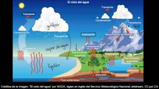 El ciclo del agua  Ecología  Biología  Khan Academy en Español [upl. by Anaugal985]