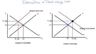 Externality and Dead Weight Loss [upl. by Buskus]