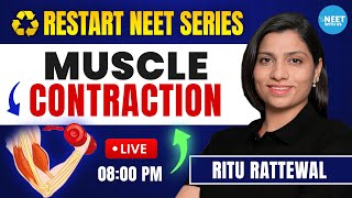 Muscle Contraction Mechanism  Locomotion and Movement  NEET Biology  Ritu Rattewal [upl. by Nichy260]