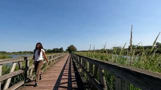 Walking Mill Creek Marsh in Secaucus Loop in NJ [upl. by Southard]