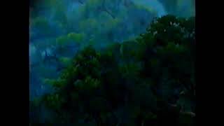 Disneys Tarzan y Jane 2002 VHS intro [upl. by Dazhehs]