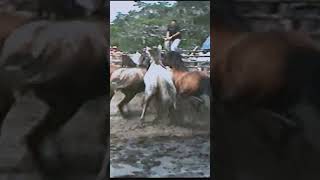 CERREROS shortvideo caballos vaqueros horse caballoscorriendo [upl. by Singleton]