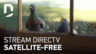 DIRECTV  For The Birds  Squab 15 [upl. by Rizas81]