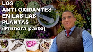 LOS ANTIOXIDANTES EN LAS PLANTAS PRIMERA PARTE [upl. by Lavinia125]