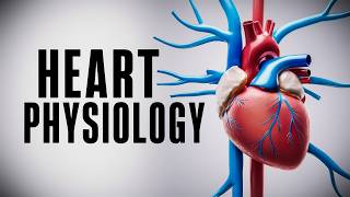 The Cardiac Cycle Simplified  What You Need to Know [upl. by Oberheim]