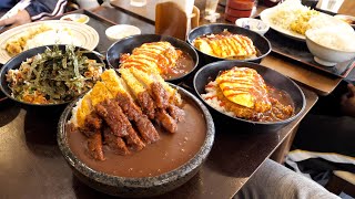 岡山）驚愕のデカ盛りかつ丼チャレンジが危険過ぎる学生とんかつ食堂めし丨Katsudon  Japanese Street Food [upl. by Ysnil]