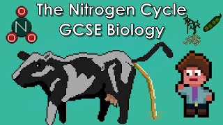 The Nitrogen Cycle  WJEC Biology  GCSE REVISION [upl. by Htebharas22]