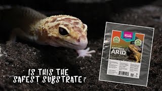 LOOSE SUBSTRATE FOR LEOPARD GECKOS  Bioactive Substrate Review [upl. by Eillak]