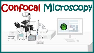 Confocal microscopy  What is the difference between confocal and fluorescence microscopy [upl. by Harlow]