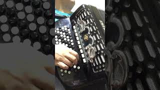 LEPOTAN  CECA foršpil cover accordion music [upl. by Temirf]