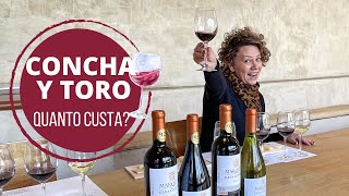 CONCHA Y TORO Como é o tour e a degustação na MAIOR vinícola do Chile e qual é o valor [upl. by Pen]