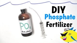 How To Make DIY Aquarium Plant Fertilizer Phosphate [upl. by Enyar6]