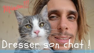 3 techniques pour dresser son chat [upl. by Odnalro]