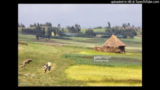 Oromo Music Hachalu Hundessa hin Seenee [upl. by Wadell288]