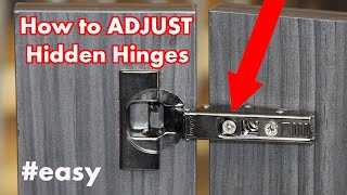 How to Adjust Kitchen Cabinet Hinges  DIY [upl. by Gun]