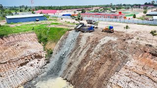 Kumatsu D60 Great Performance Dozer with 10 TON Construction Land Filling Dump Trucks Skills [upl. by Edith419]