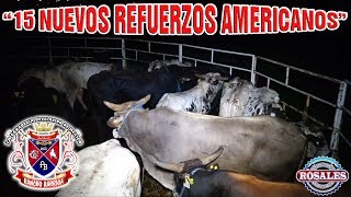 ¡¡¡ YA LLEGARON MAS REFUERZOS 15 TOROS NUEVOS DE RANCHO BARRIGA [upl. by Russ]