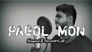 পাগল মন মন রে Slowed amp reverbLoFi banglasong [upl. by Ylrrad722]