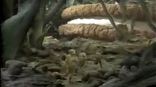 Honey I Shrunk the Kids promo 1991 [upl. by Roht]