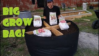 Grow potatoes in grow bags [upl. by Charmane]