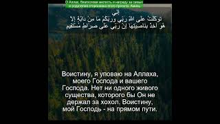 Коран Сура Худ  1156  Чтение Корана с русским переводом Quran Translation quranrecitation [upl. by Genna192]