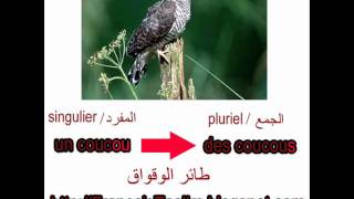 صيغة الجمع للاسماء المنتهية بي OU [upl. by Bloomer]