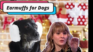 Ruth Madeley Earmuff for Dogs Would I Lie to You WILTY Series 14 Christmas Special [upl. by Littell155]