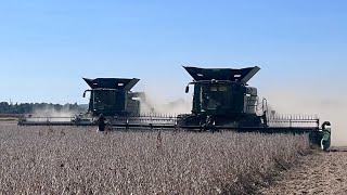 Cutting the beans in Illinois [upl. by Nnav]