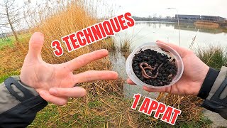 Je vous DONNE mes 3 MEILLEURES TECHNIQUES de PECHE au VERS DE TERRE  CAPOT IMPOSSIBLE [upl. by Slemmer]