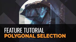 Polygonal Selection  Tutorial [upl. by Alled453]