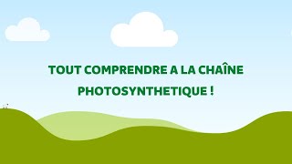 La chaîne photosynthétique naura plus de secrets pour vous  3 [upl. by Cynar]