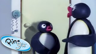 Pingu and the Broken Doorbell  Pingu Official  Cartoons for Kids [upl. by Issi380]