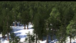 Houdini 130 Speedtree Instancing 50000 Trees 10 billion polys [upl. by Tolmann]