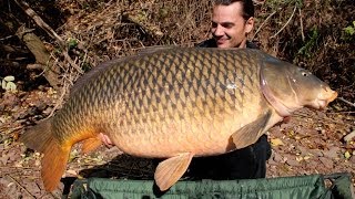 American carp record USA at 54lb 8oz 247 kg  Raphaël Biagini [upl. by Ellek151]