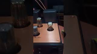 Icon Audio LA4 MKiii preamp Hypex Nilai WiiM Ultra hypex music iconaudio wiim tubeamplifier [upl. by Suzanne279]