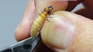 Tying the October Caddis Larva  A Step by Step Guide [upl. by Aihset]