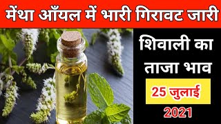 Today Mentha Oil Rate  आज के ताजा मेंथा तेल के रेट  मेंथा आँयल के रेट में गिरावट [upl. by Oremar838]