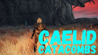 Elden Ring How to beat the Caelid Catacombs [upl. by Pelagia245]