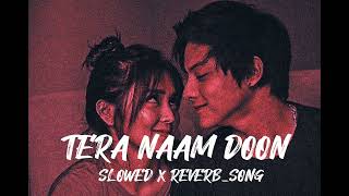 TERA NAAM DOON 💞 SLOWED X REVERBSONG [upl. by Edana922]