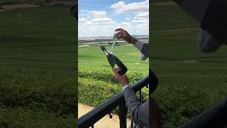 Opening champagne bottle with a glass [upl. by Georg]