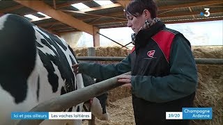 Alison Jobard éleveuse de vaches laitières dans lAube [upl. by Marcoux729]