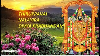 THIRUPPAVAI  NALAYIRA DIVYA PRABANDHAM [upl. by Picardi468]