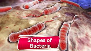 Discover Bacteria Shapes Unseen World Revealed Must Watch [upl. by Nagam]