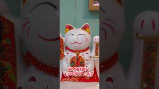 luckycat manekineko wavingcat luckycharm ytshorts trendingshorts [upl. by Damita]