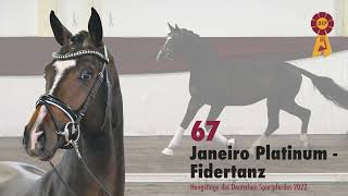 Lot 67 Hengst v Janeiro PlatinumFidertanz [upl. by Edrahc583]