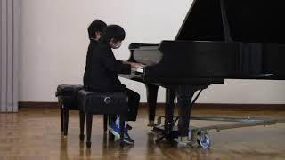 A piano duet arrangement of Blue Danube Waltz by Johann Strauss Jr [upl. by Walkling]