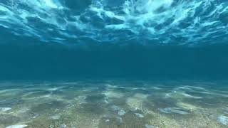 Sonido Bajo el Agua  Underwater Sound [upl. by Gem59]